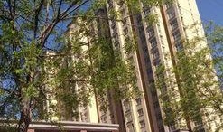 开源嘉苑爆料最新消息,揭秘项目进展与未来规划