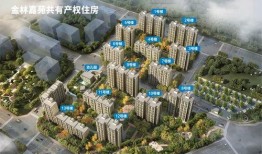 开源嘉苑爆料最新消息,揭秘项目进展与未来规划